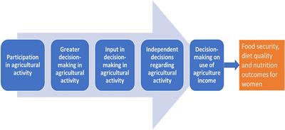 Women's input and decision-making in agriculture are associated with diet quality in rural Tanzania